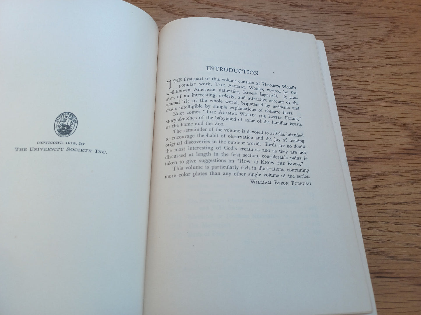 Image #8