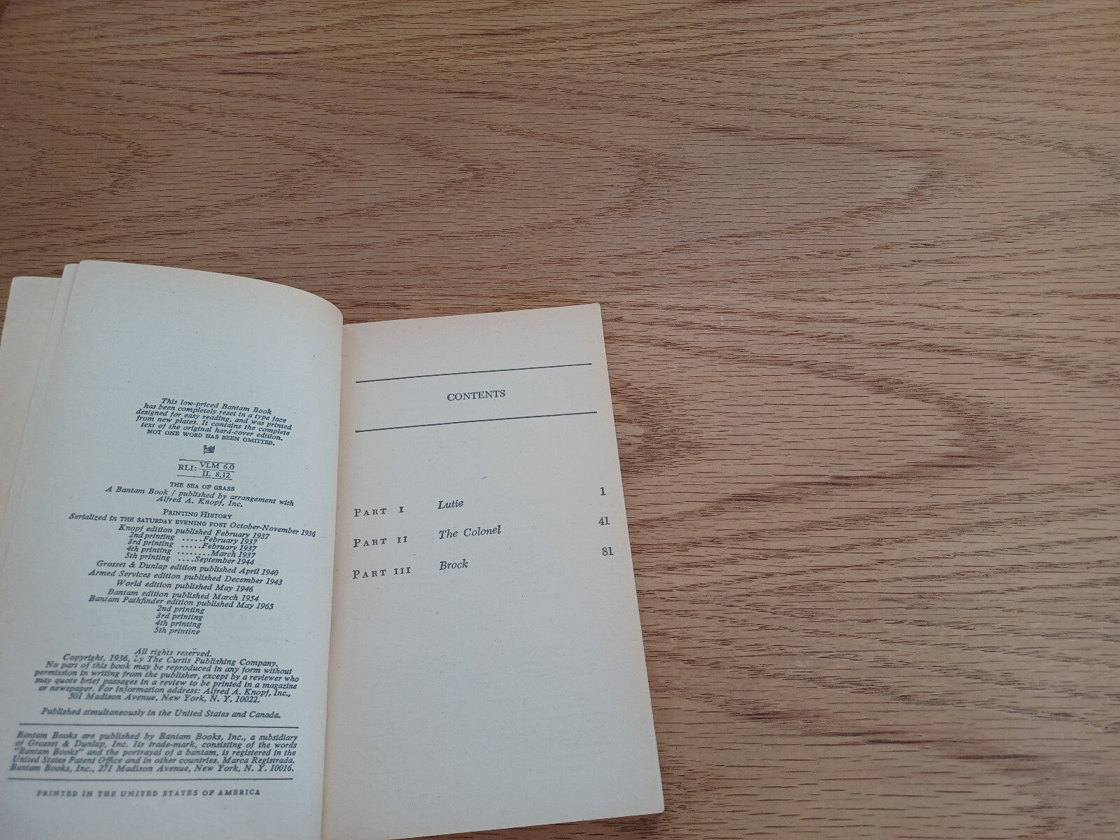 Image #8