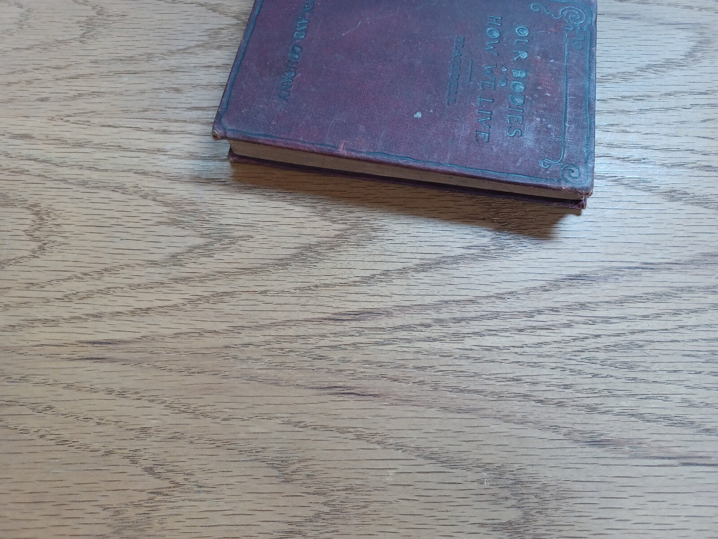 Image #3