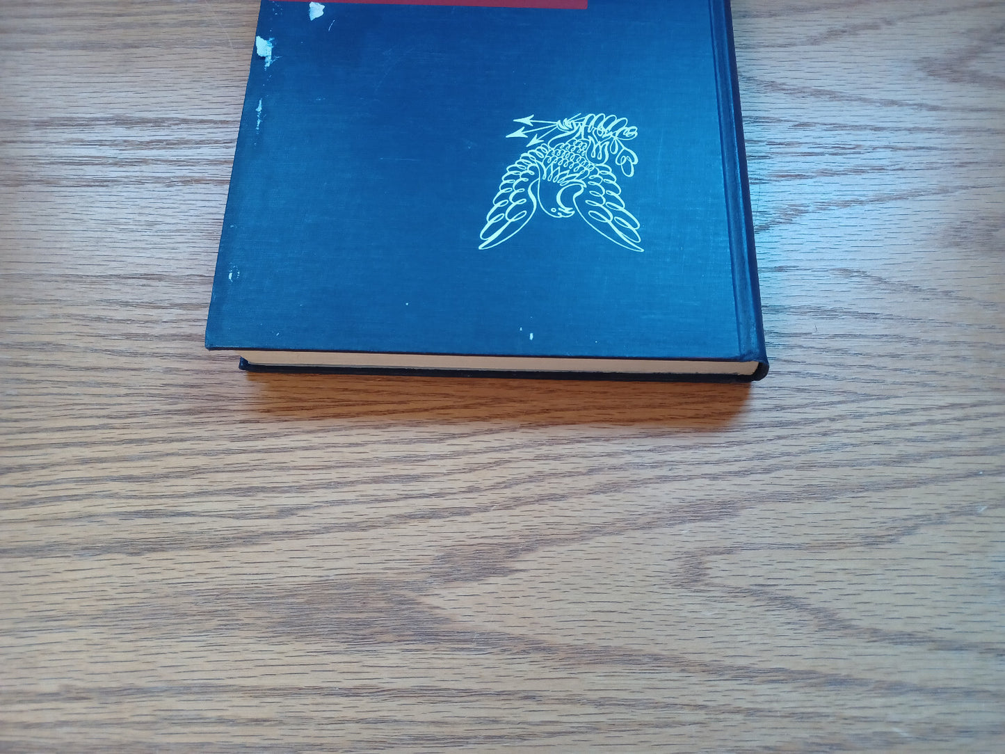 Image #4