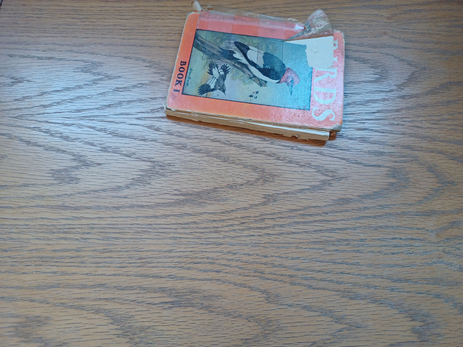 Image #3