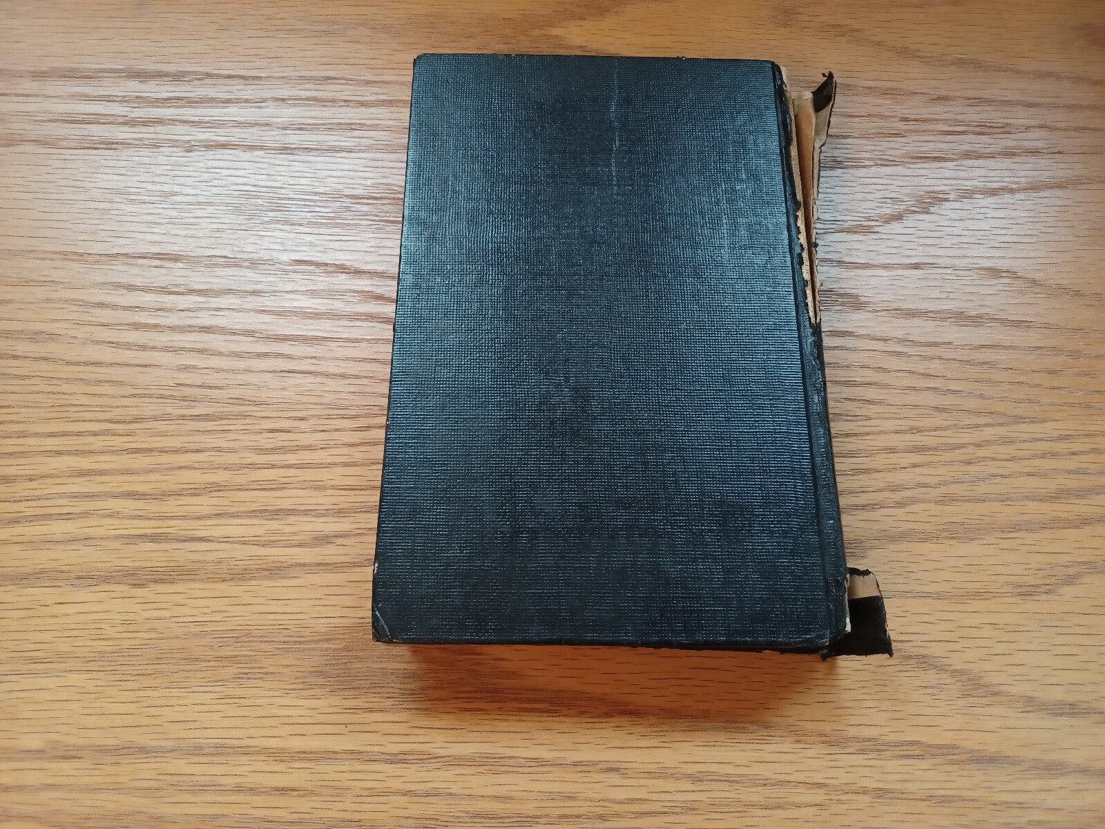 Image #6