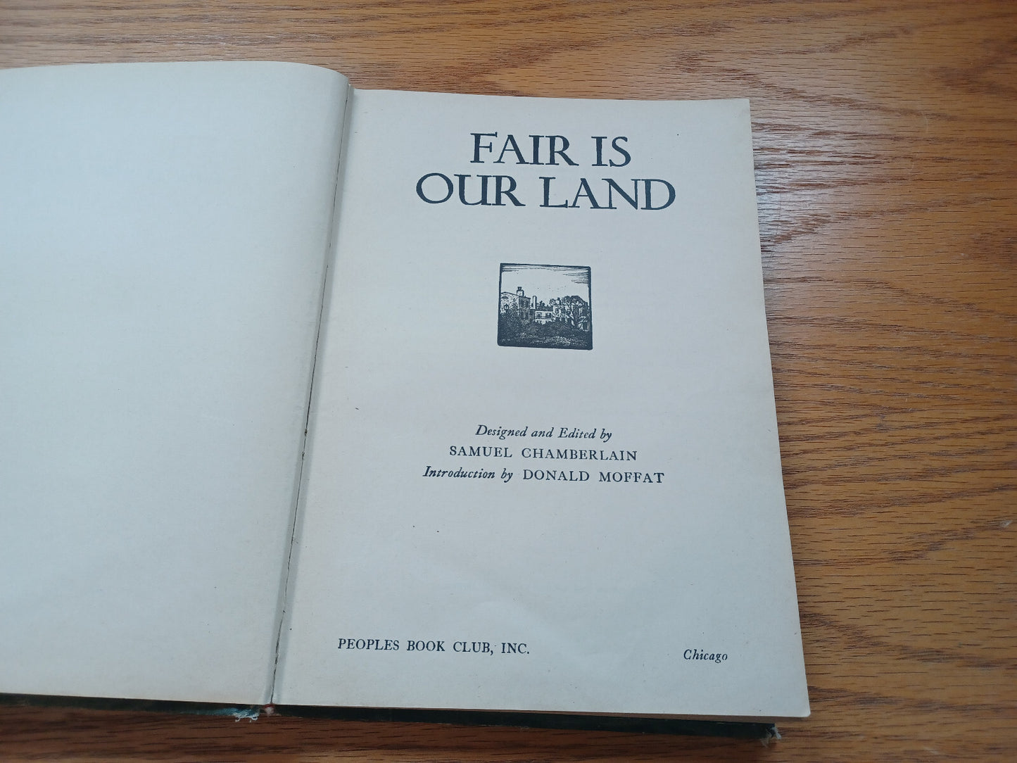 Image #8