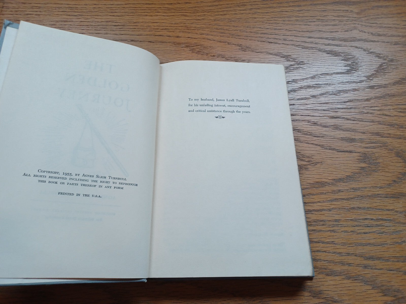 Image #8