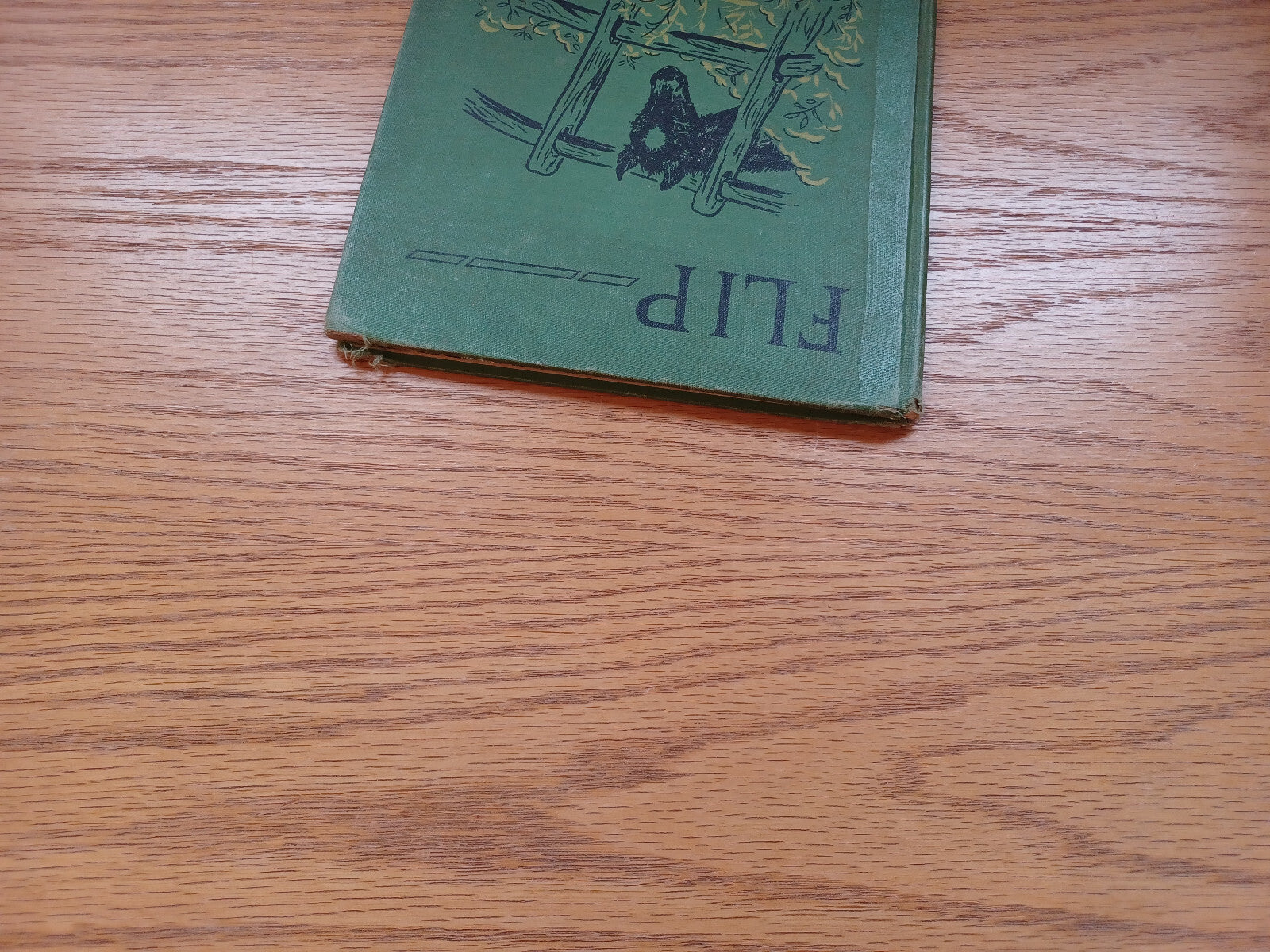 Image #4