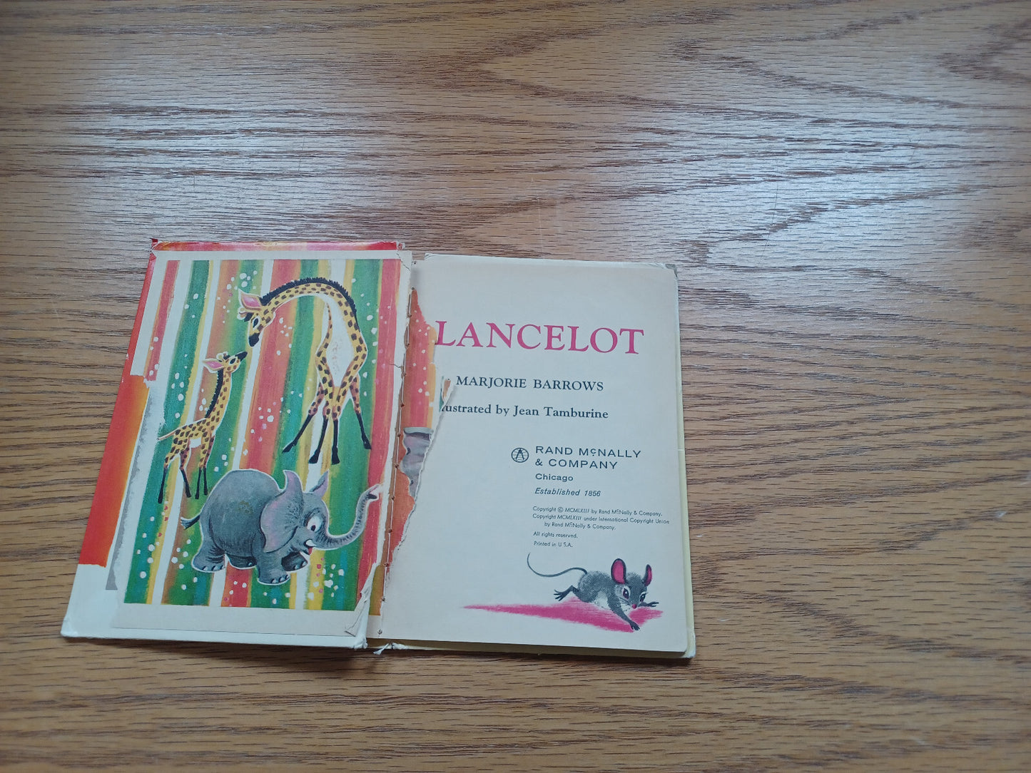 Image #4
