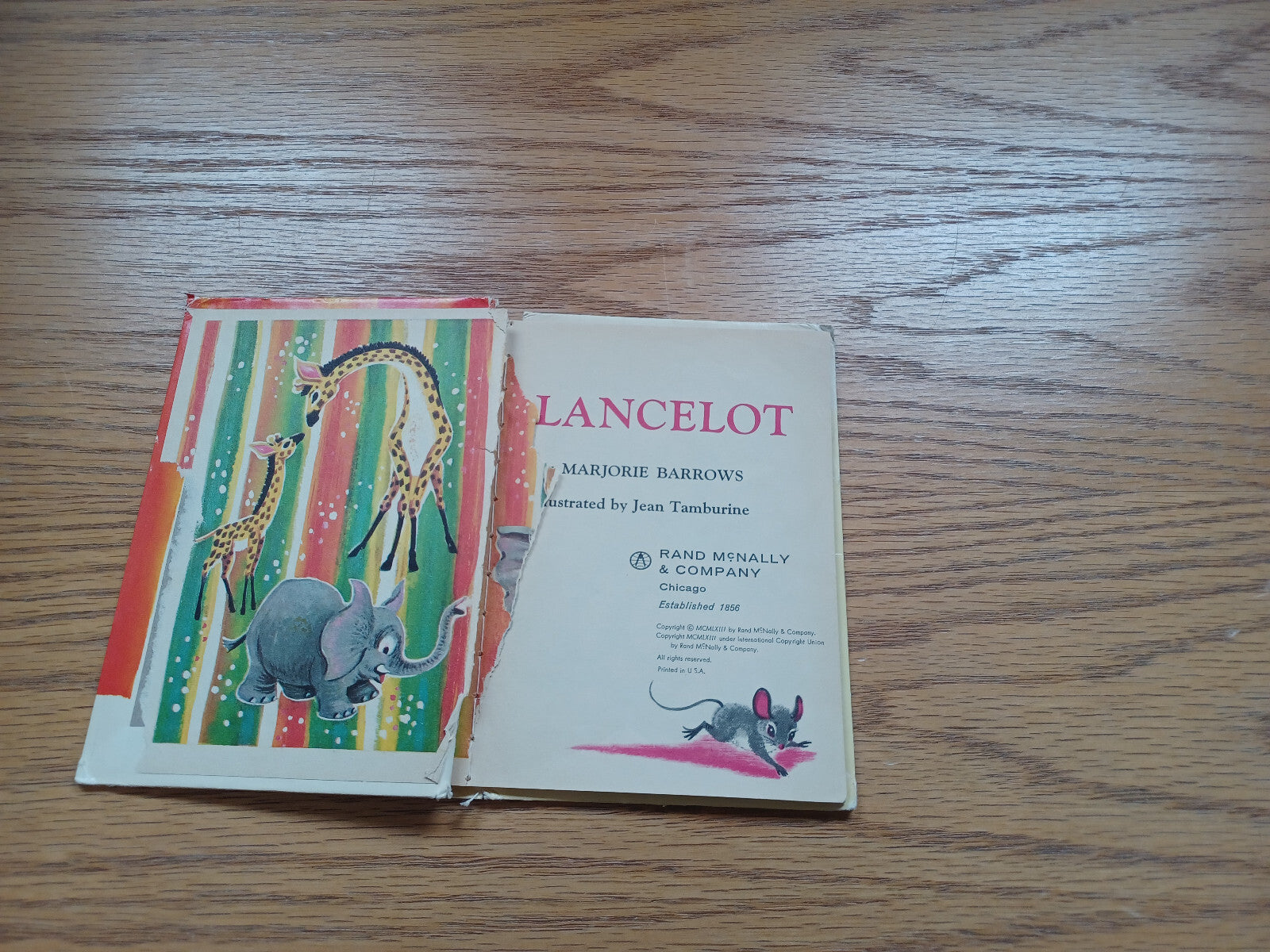 Image #4