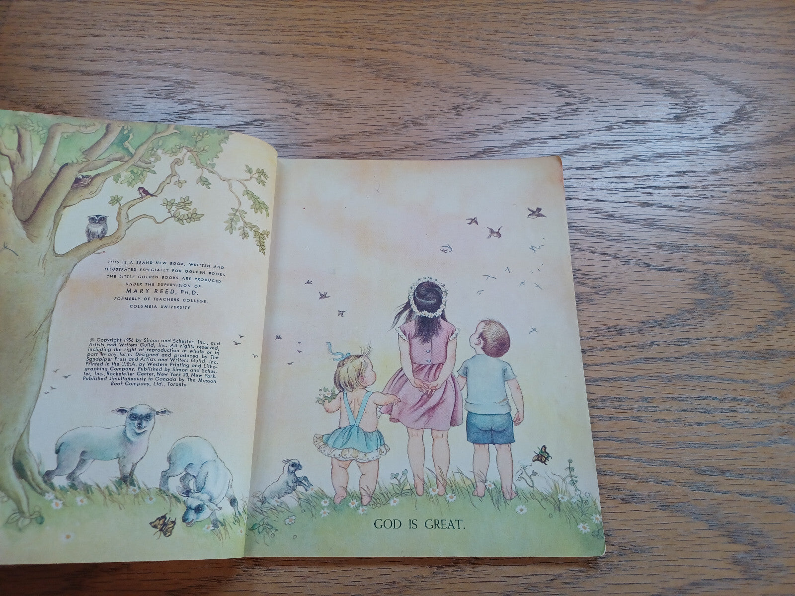 Image #8