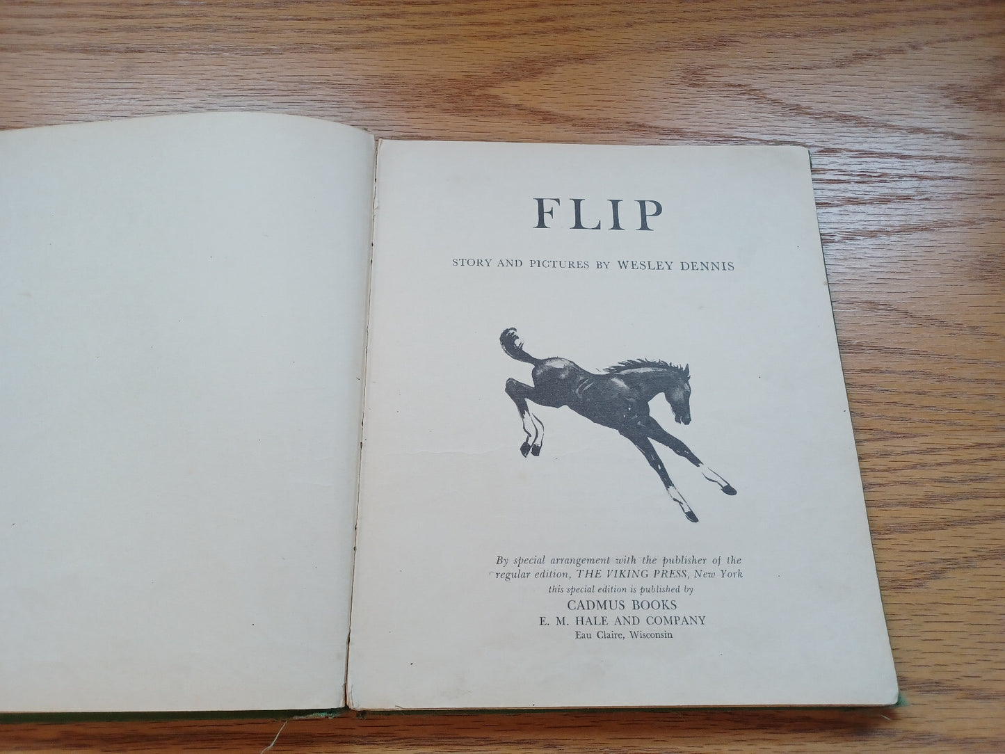 Image #8