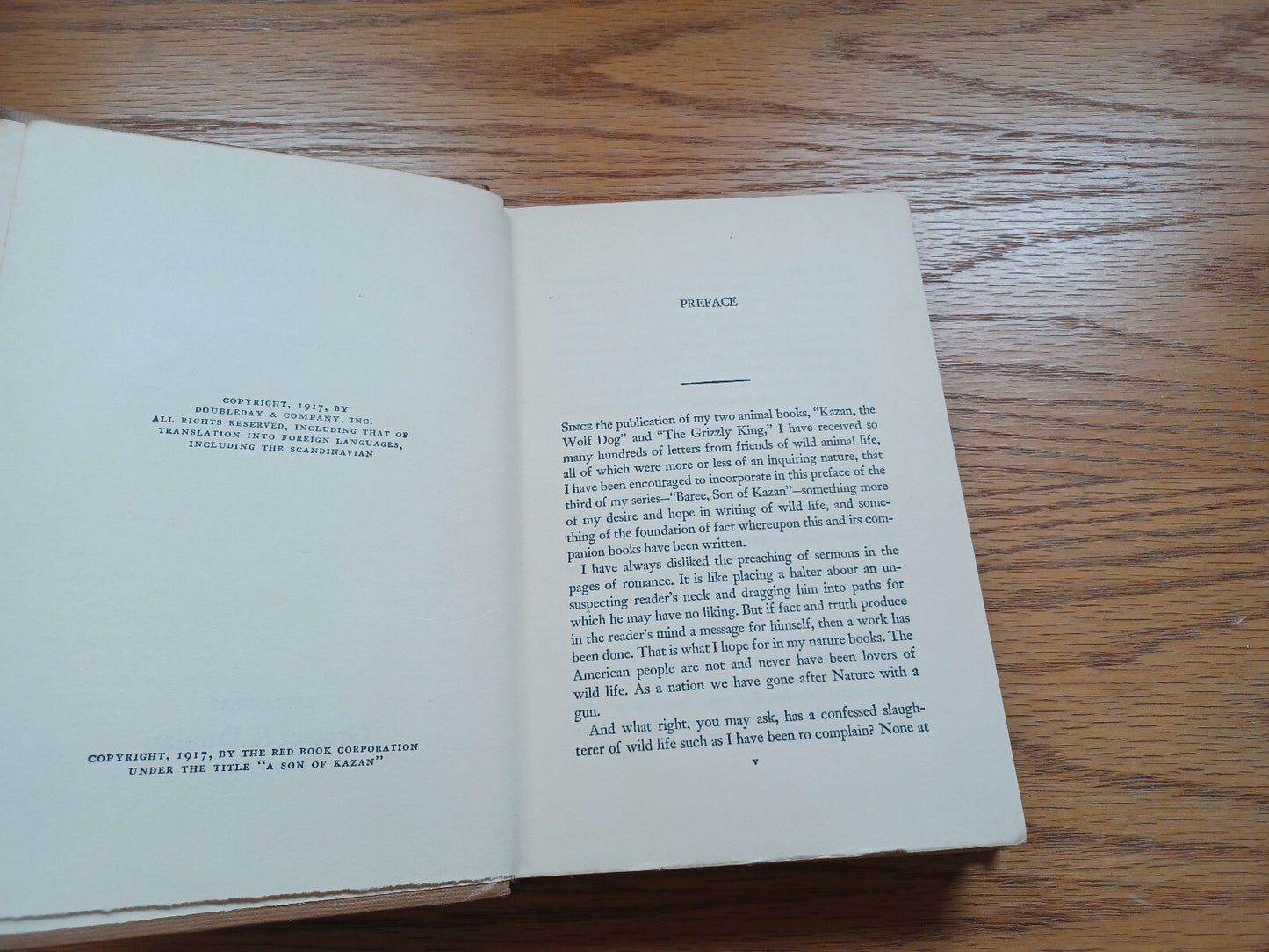 Image #8