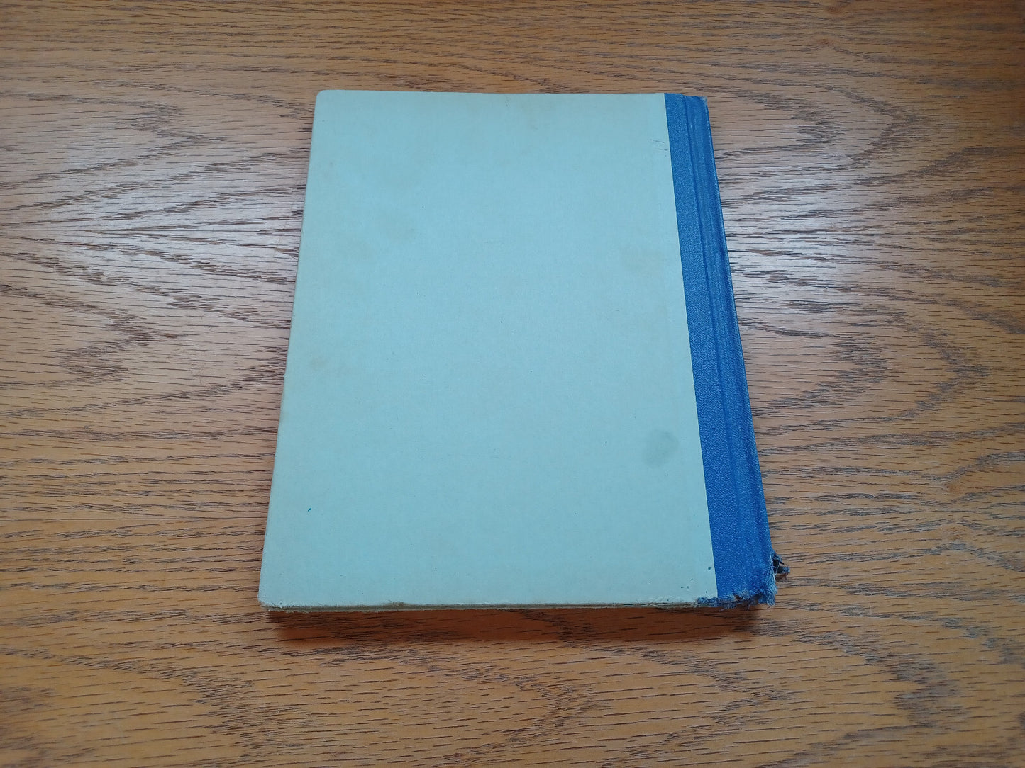 Image #6