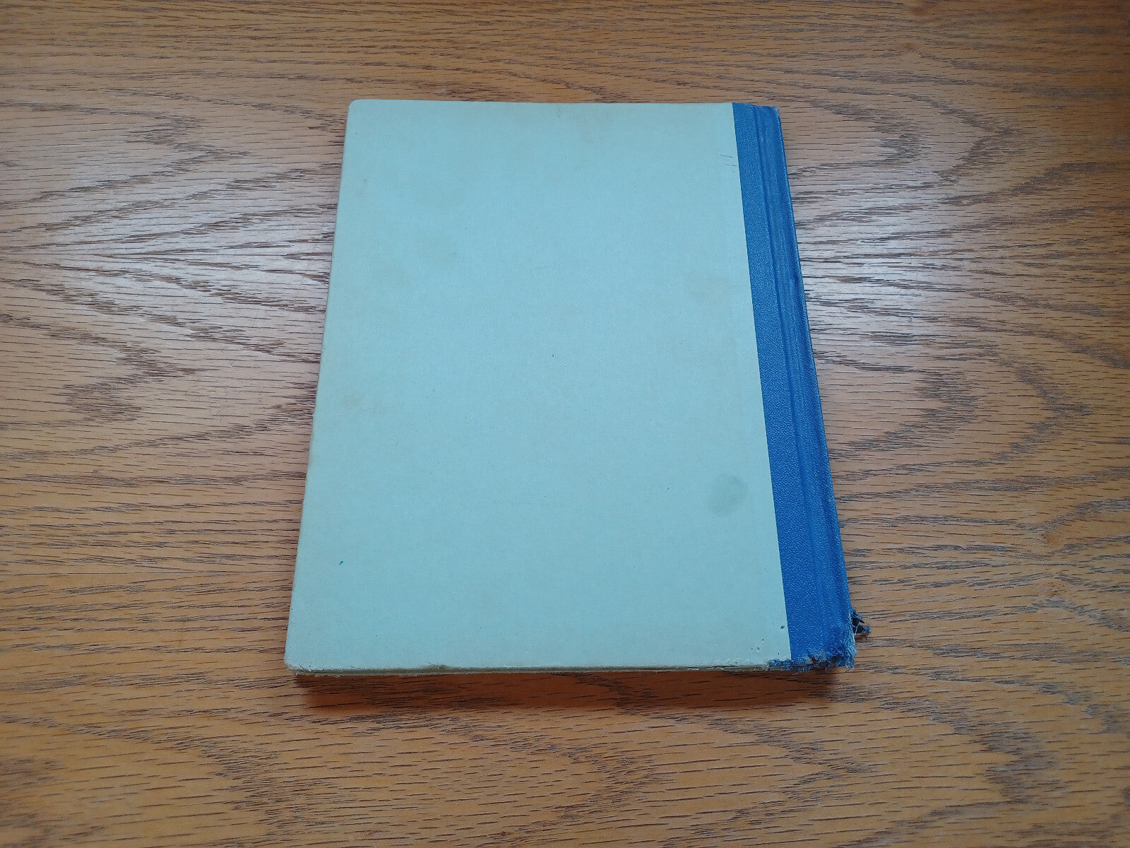 Image #6