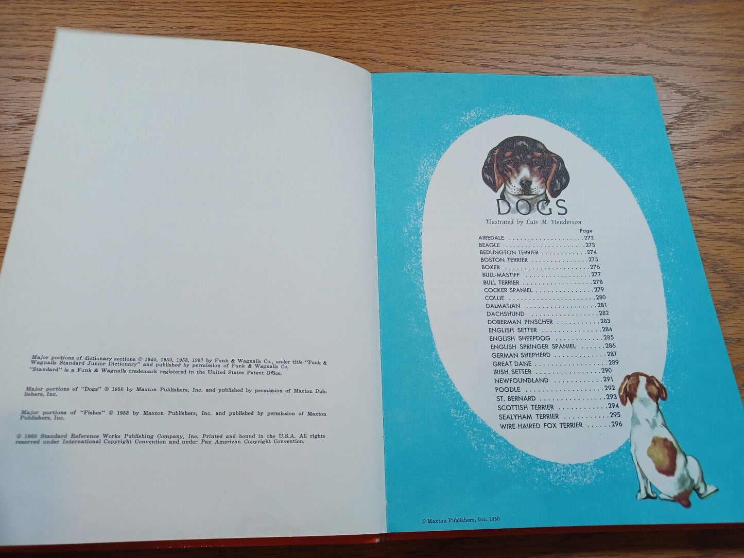 Image #8