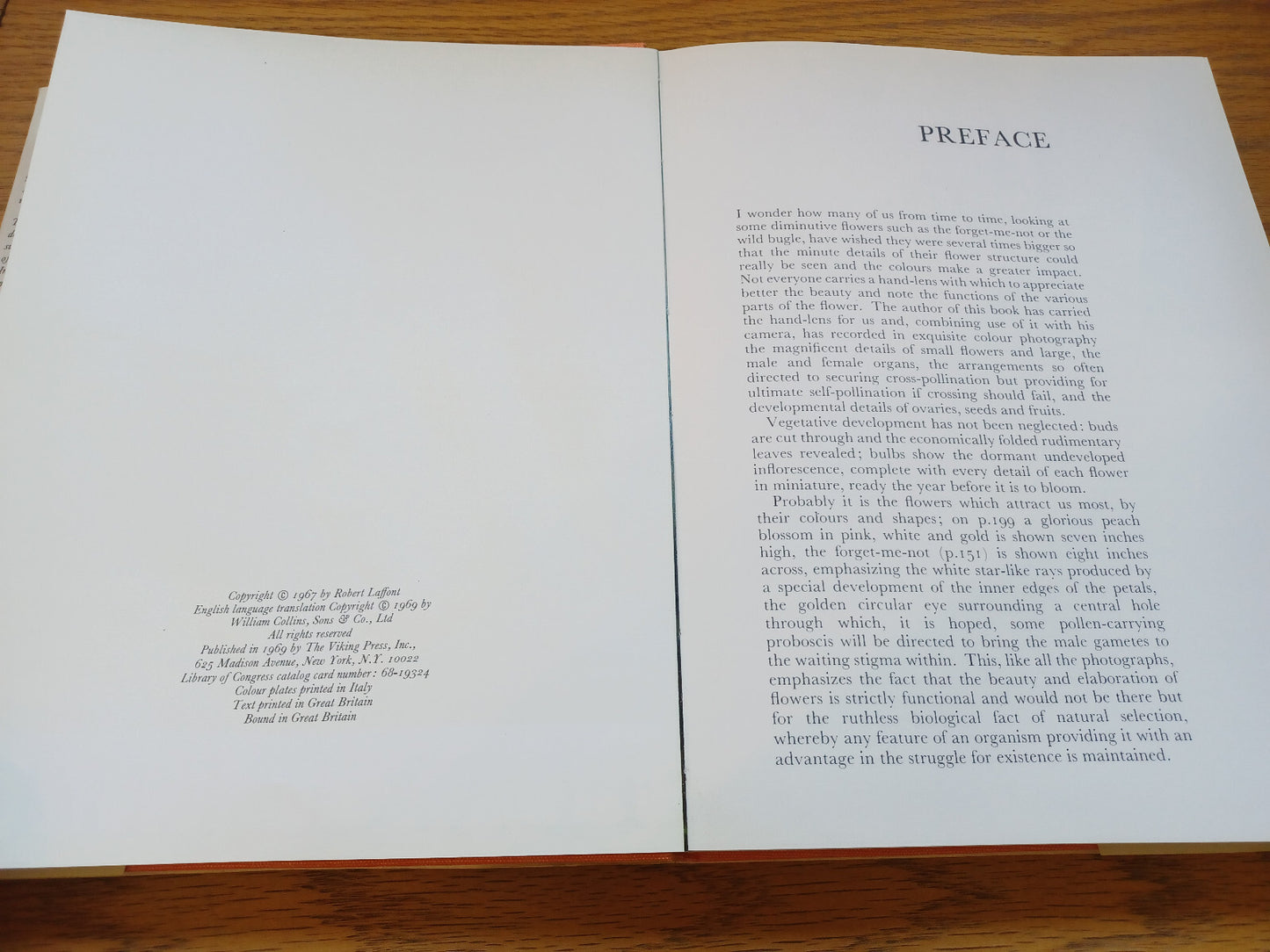 Image #10