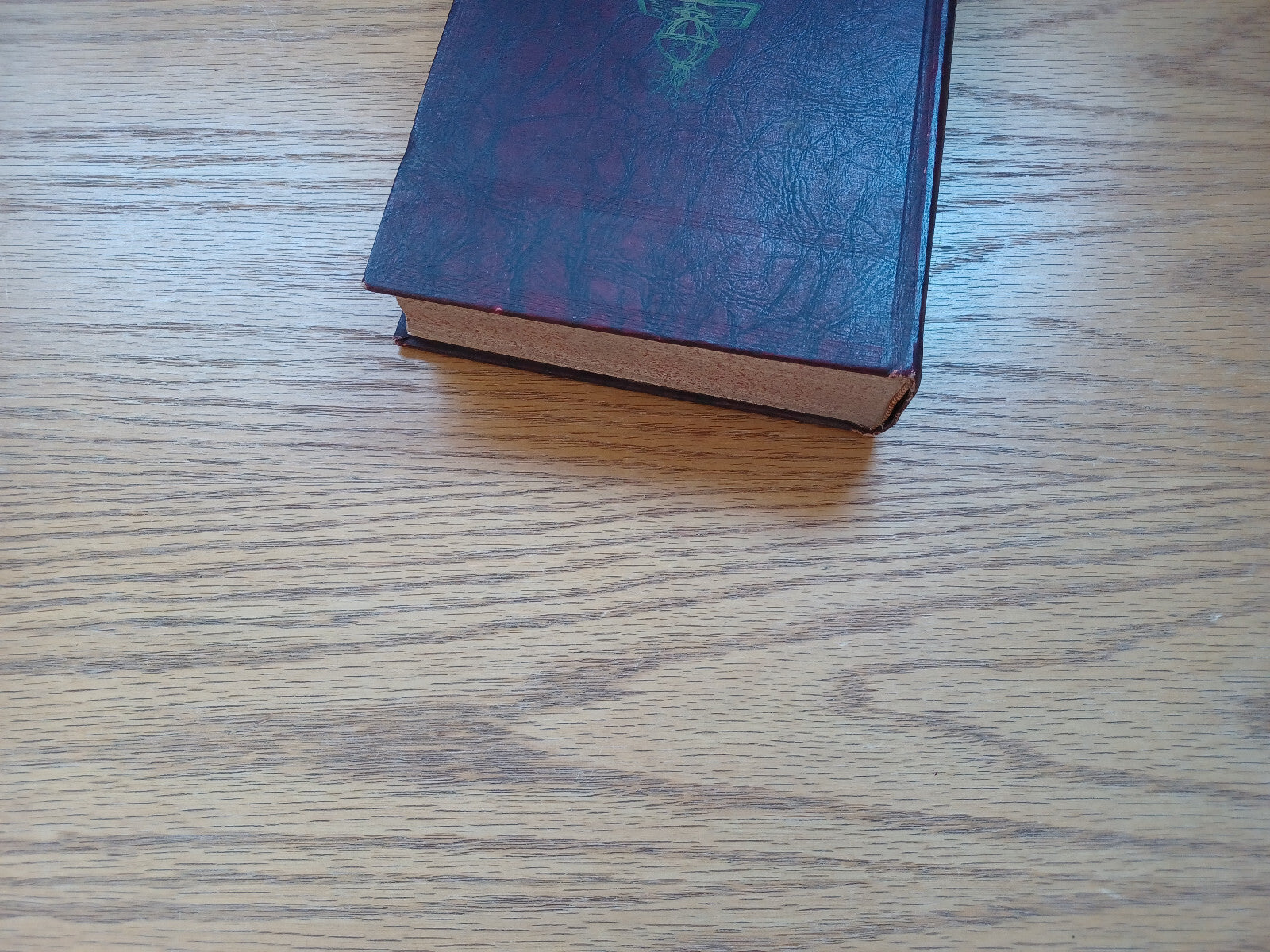 Image #4