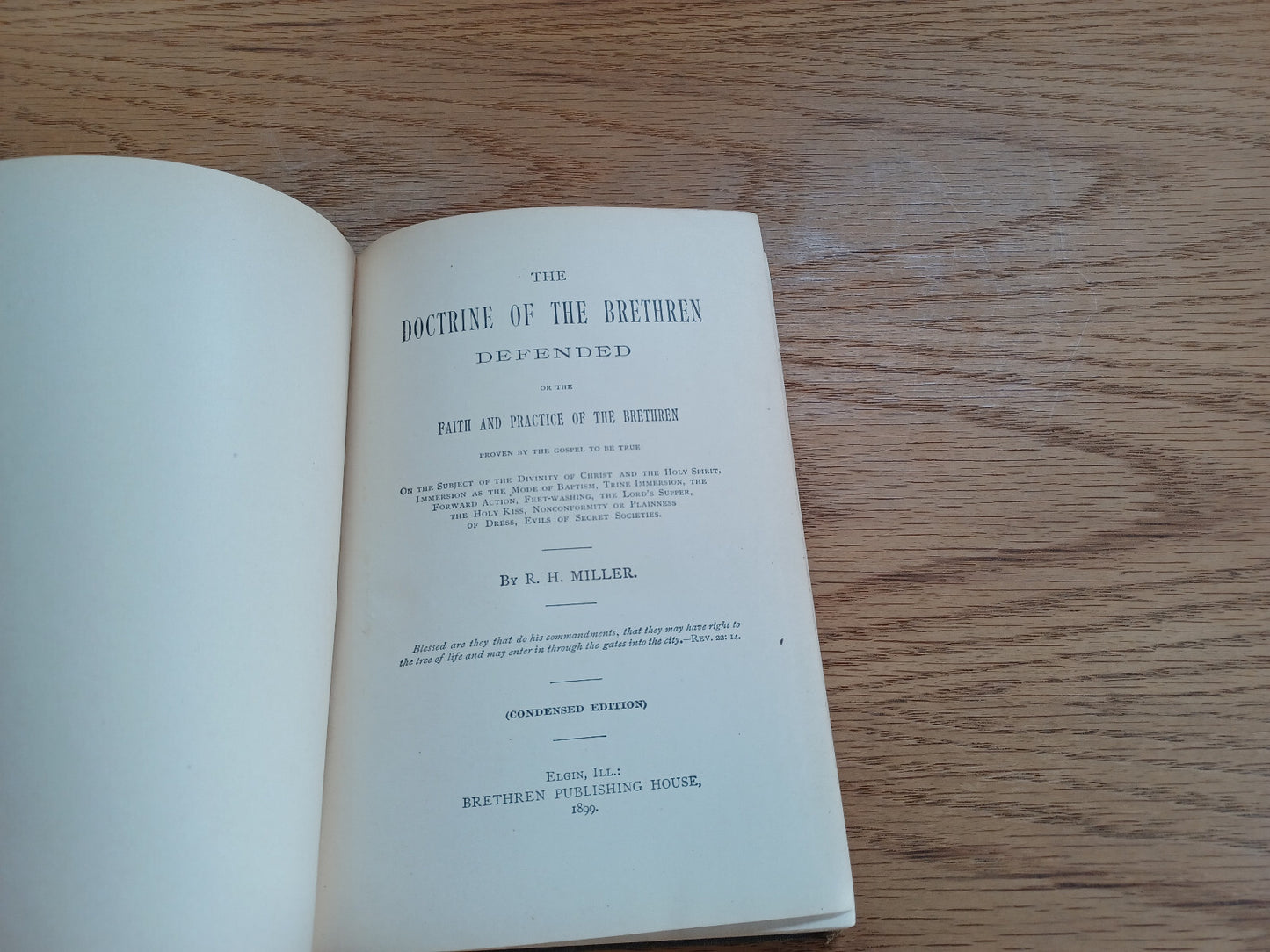 Image #8