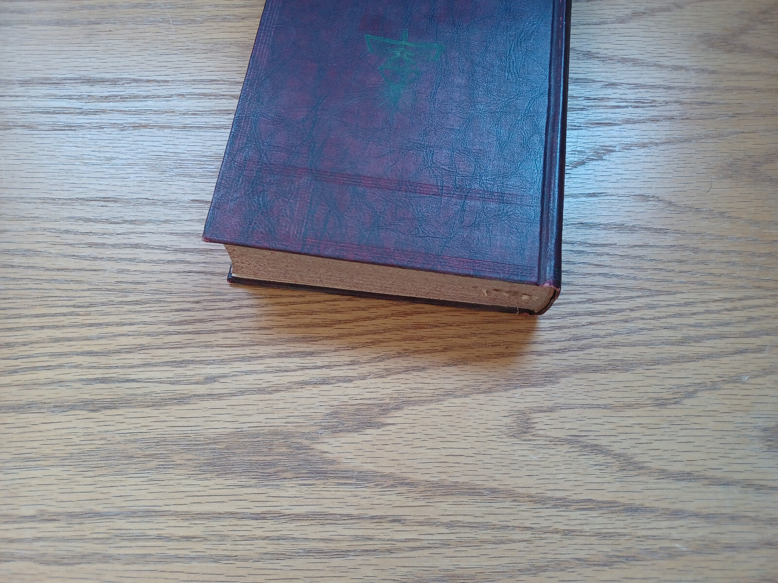 Image #4