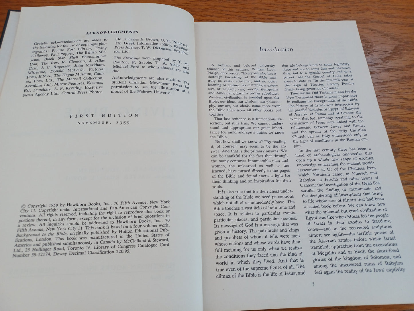 Image #8