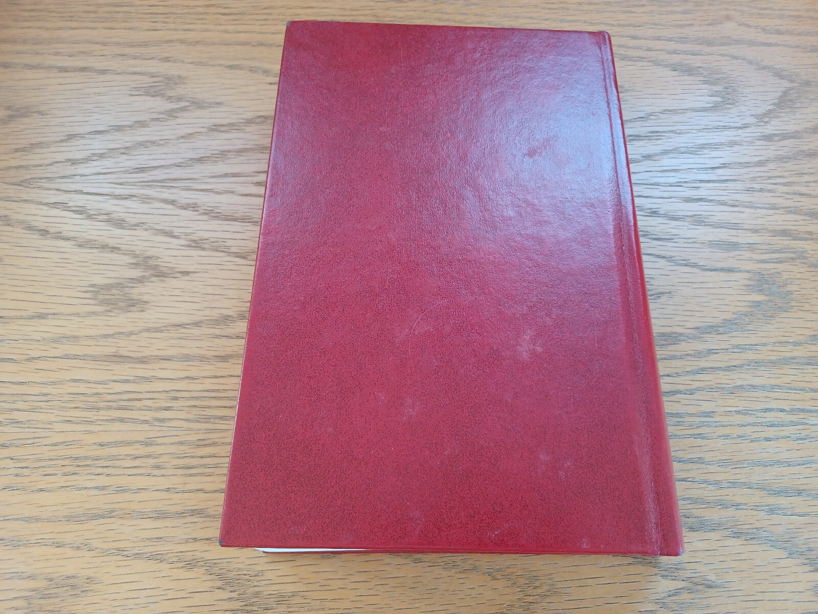 Image #6