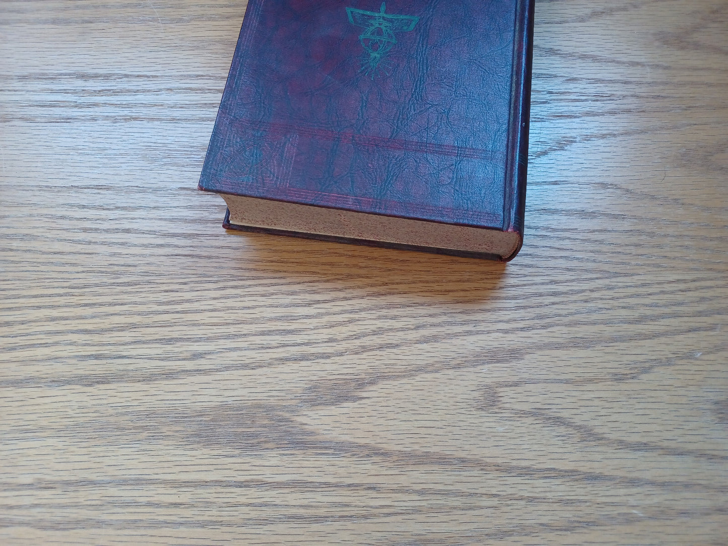 Image #4