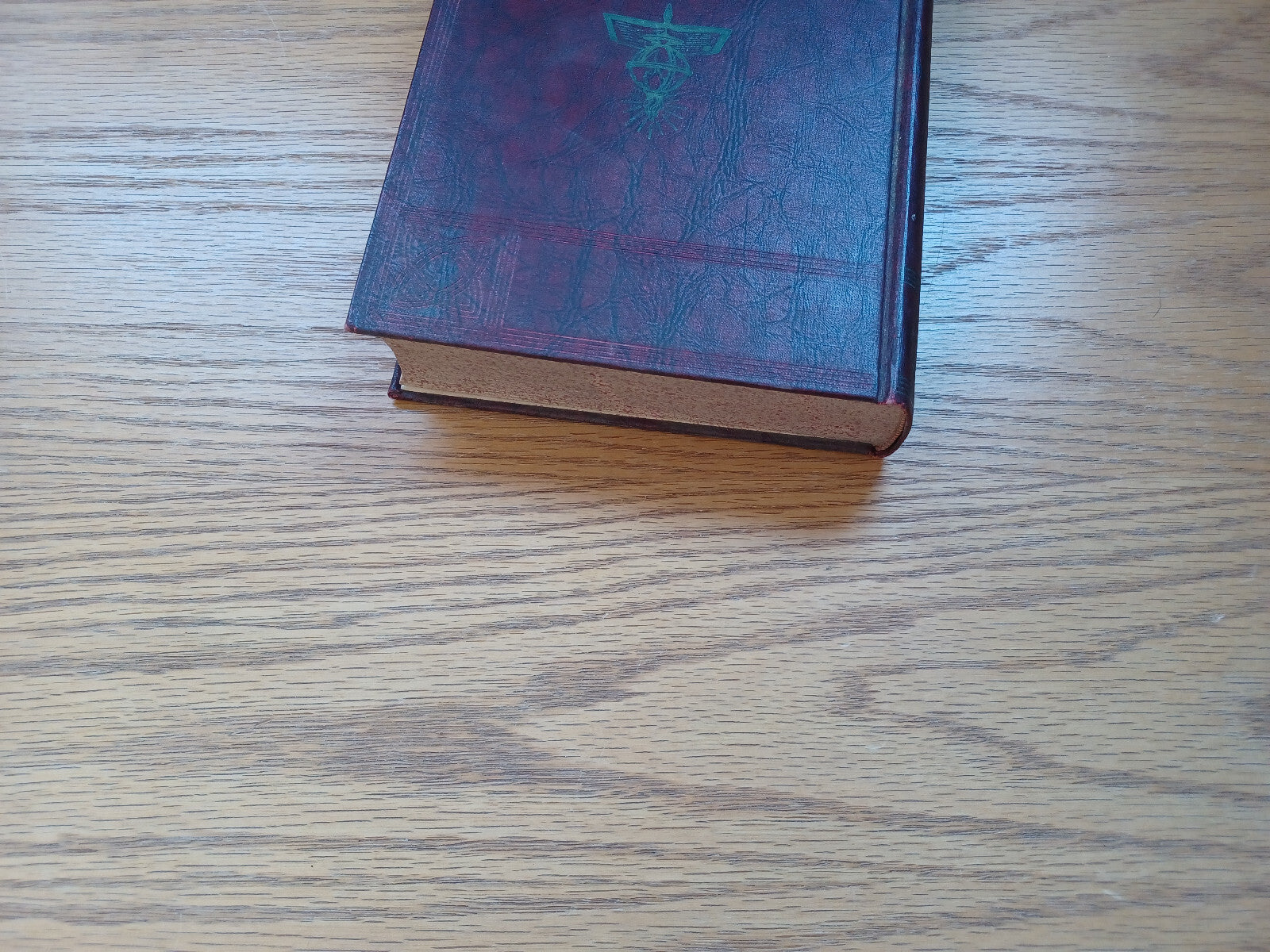 Image #4