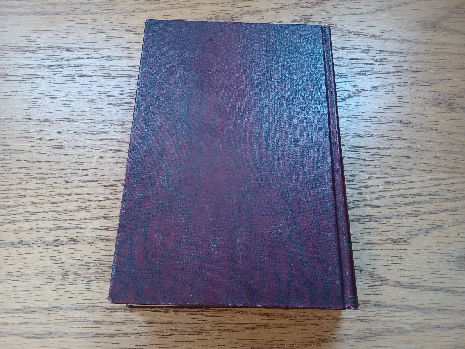 Image #6
