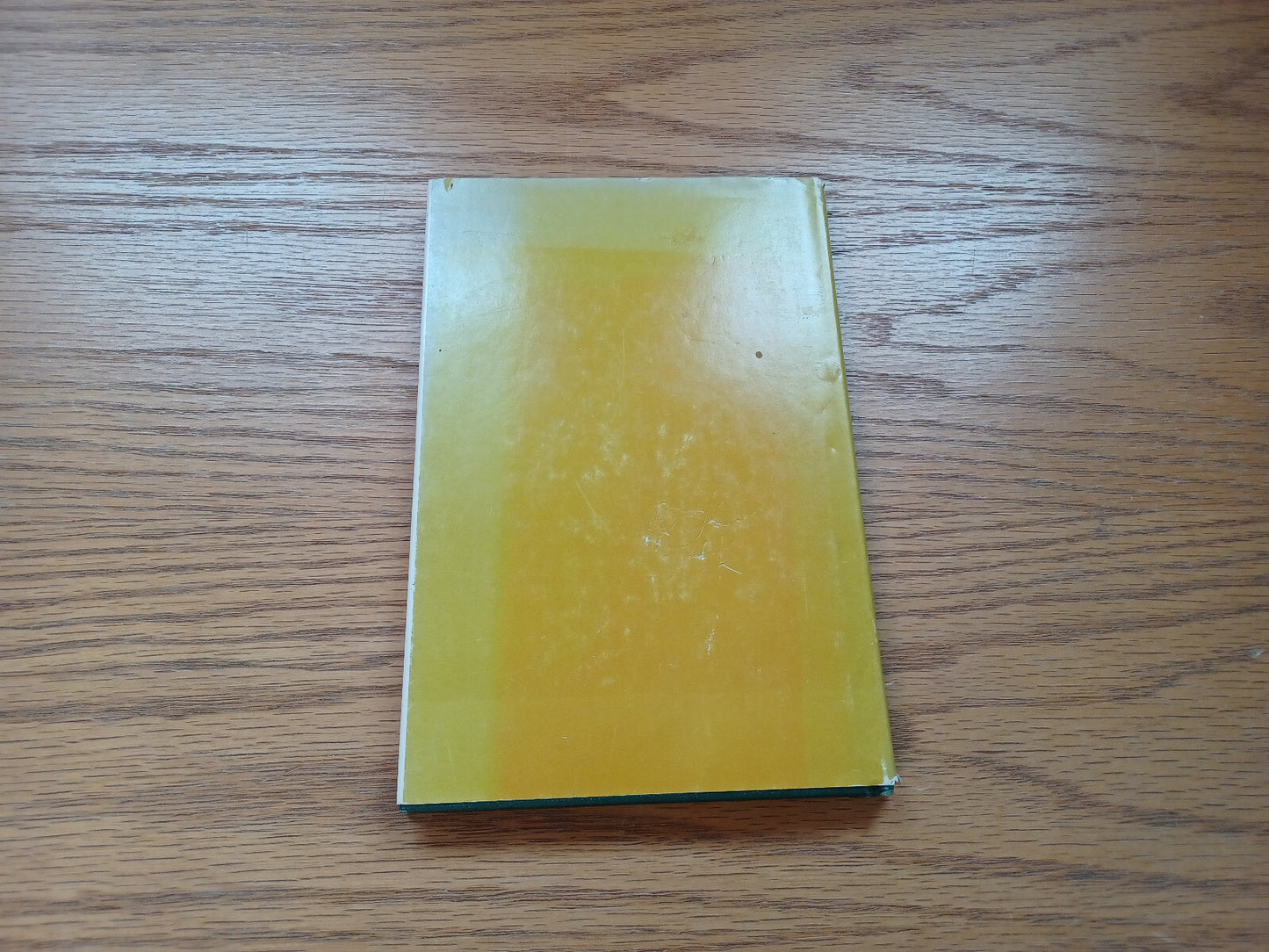 Image #6