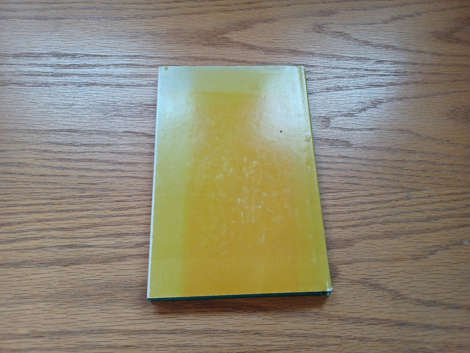 Image #6