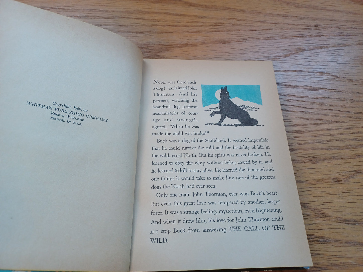 Image #8