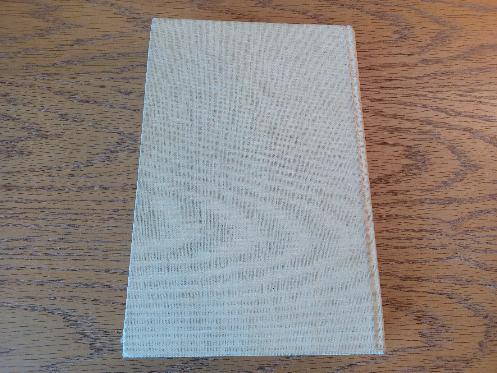 Image #6