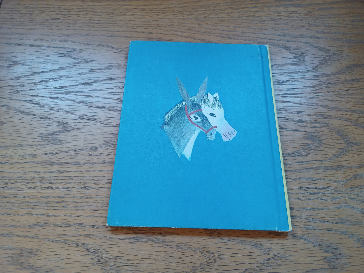 Image #6