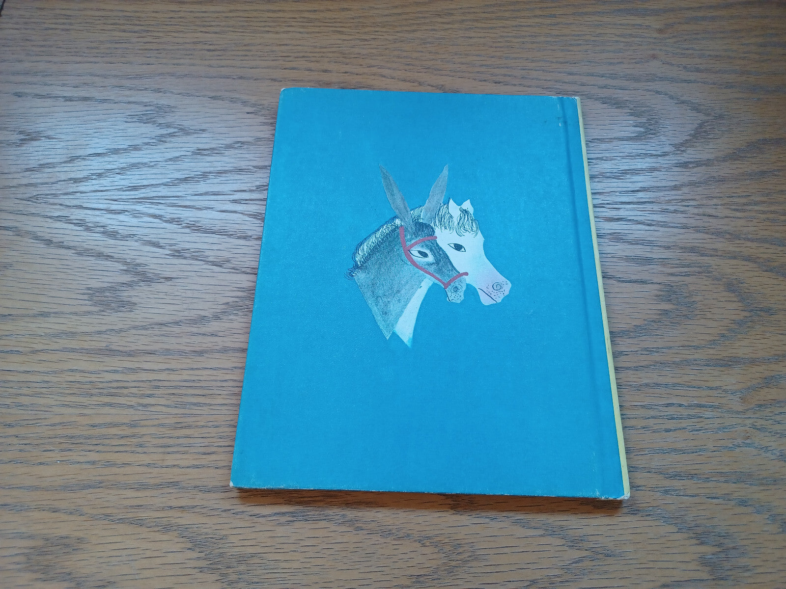 Image #6