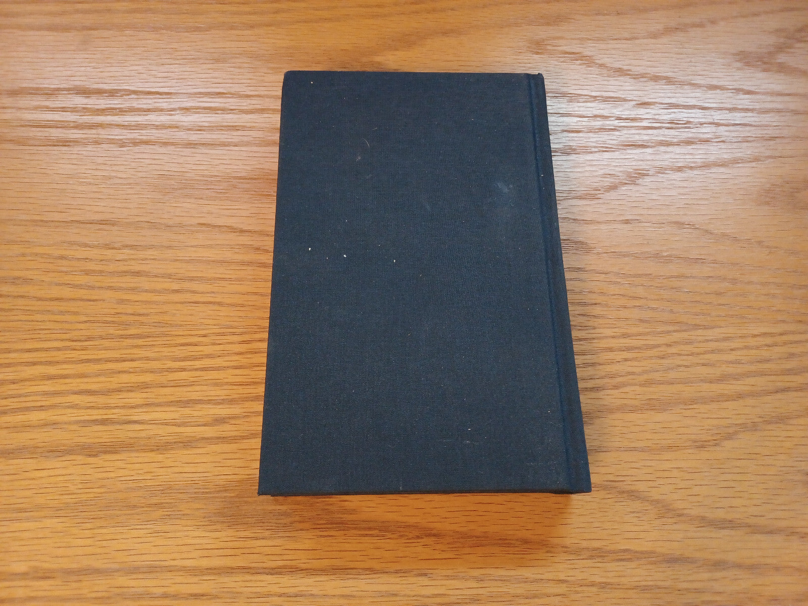 Image #6