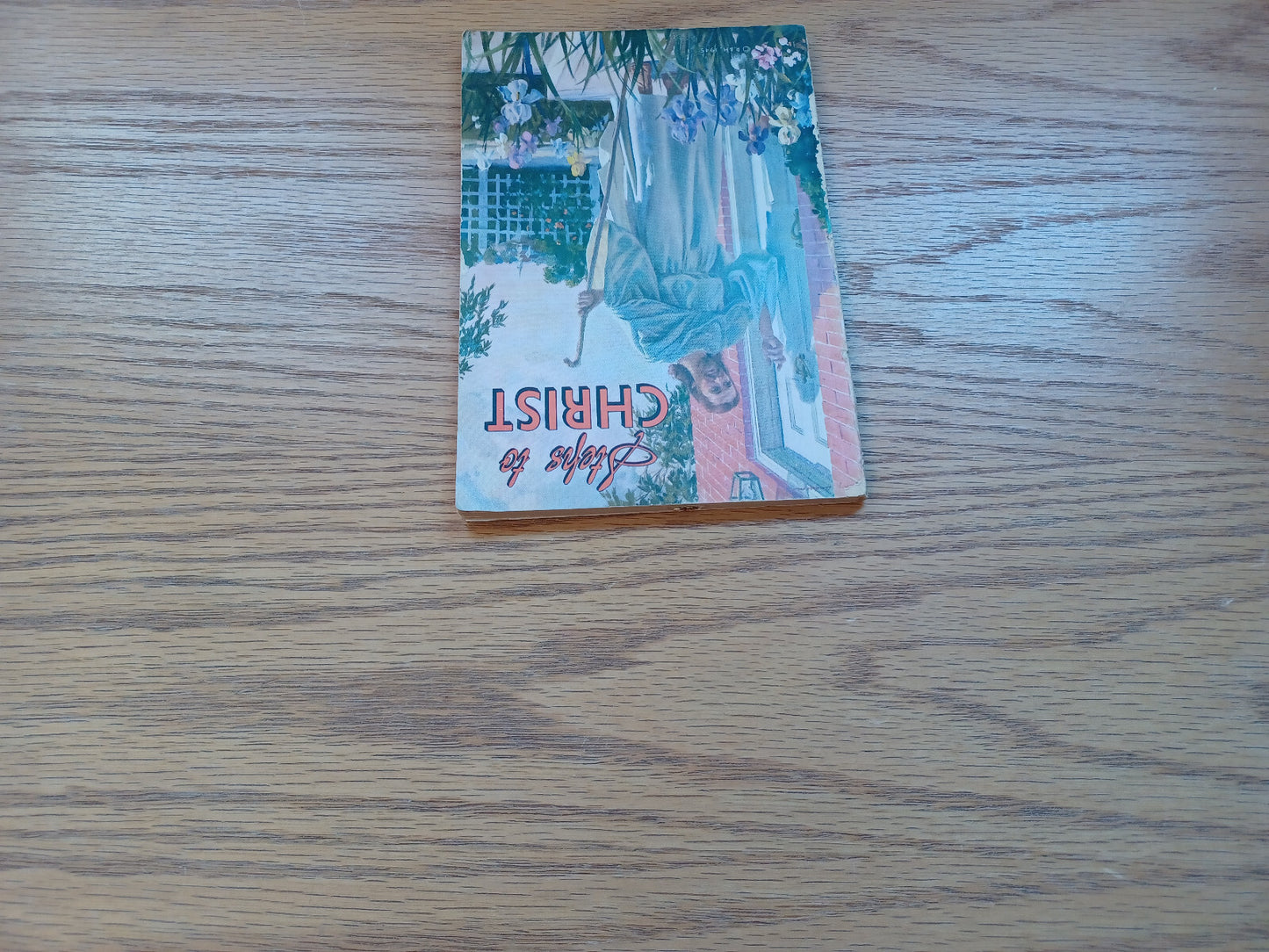 Image #4