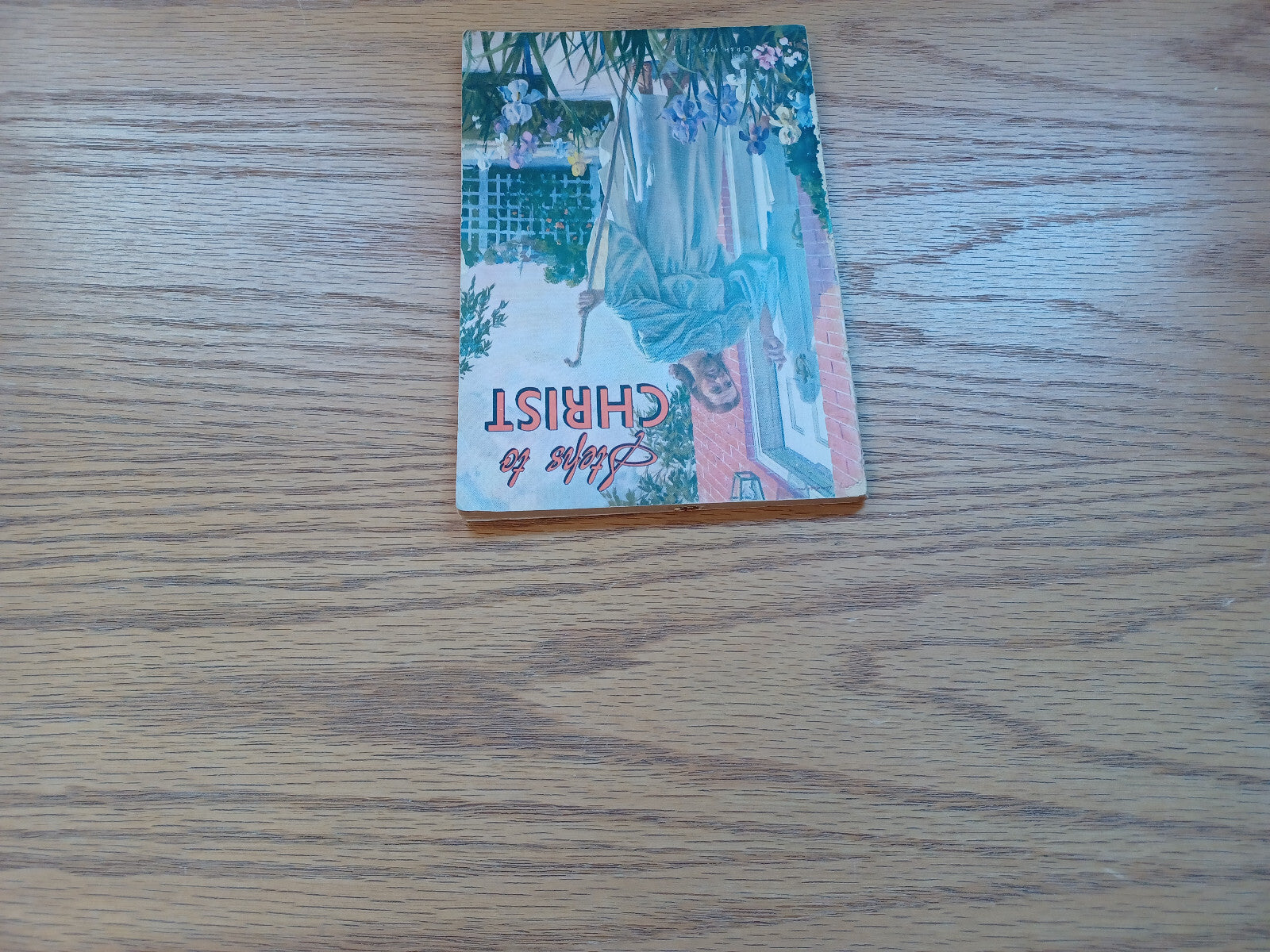 Image #4