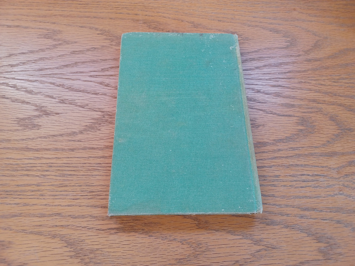 Image #6