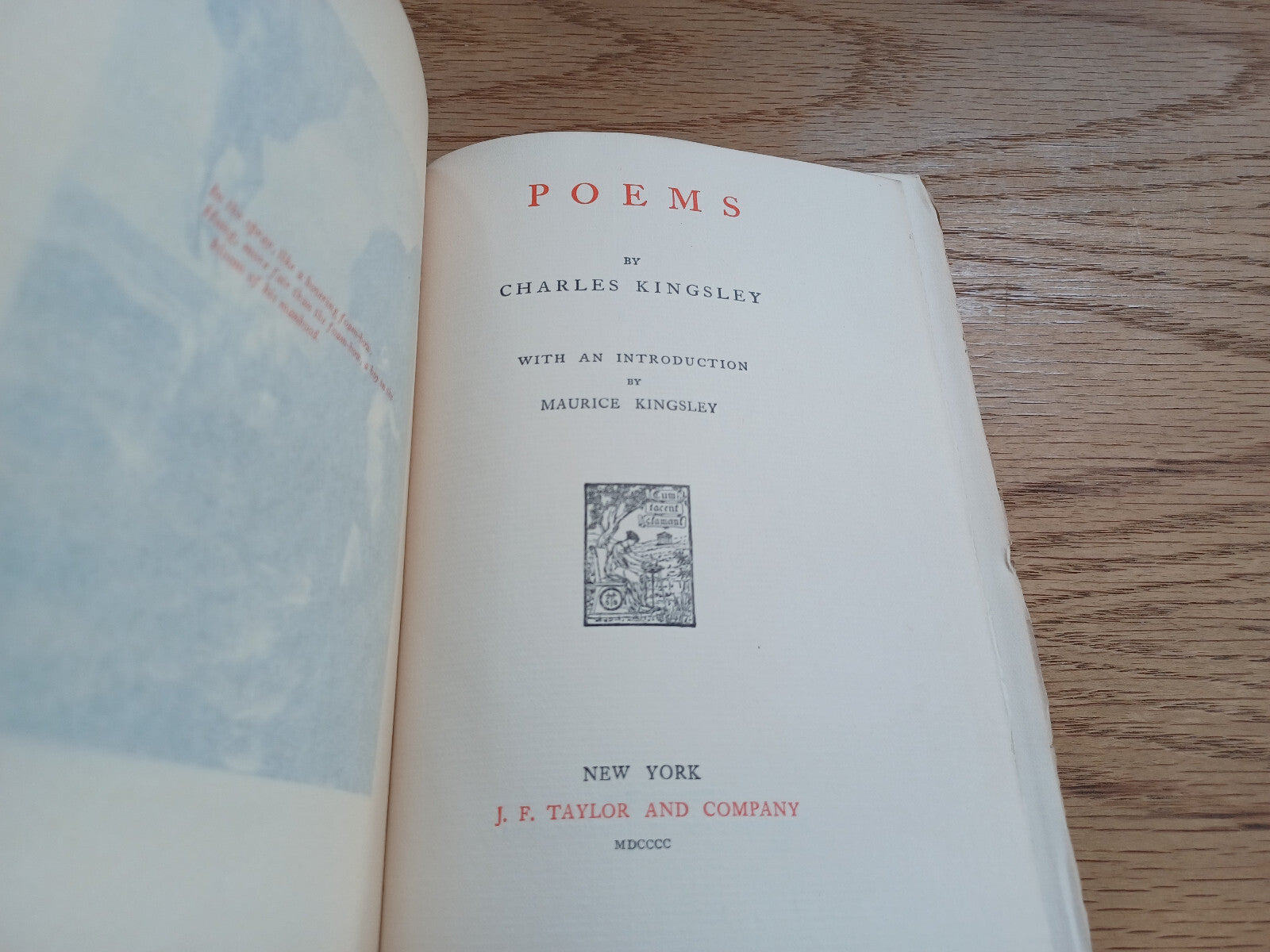 Image #8