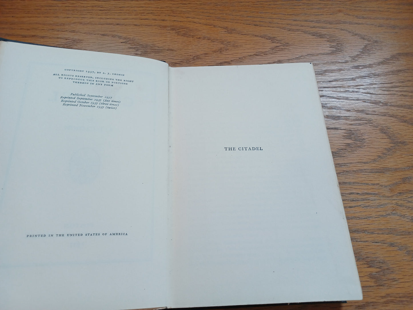 Image #8