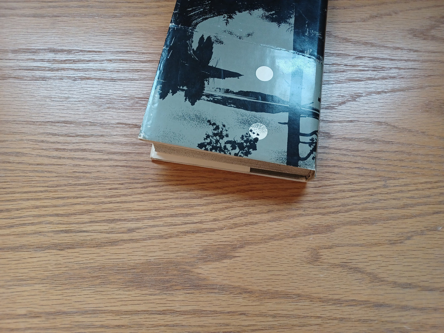 Image #4