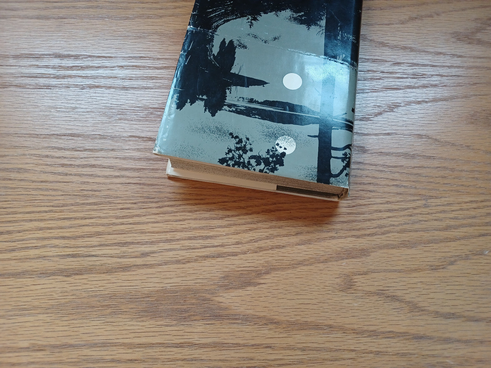 Image #4
