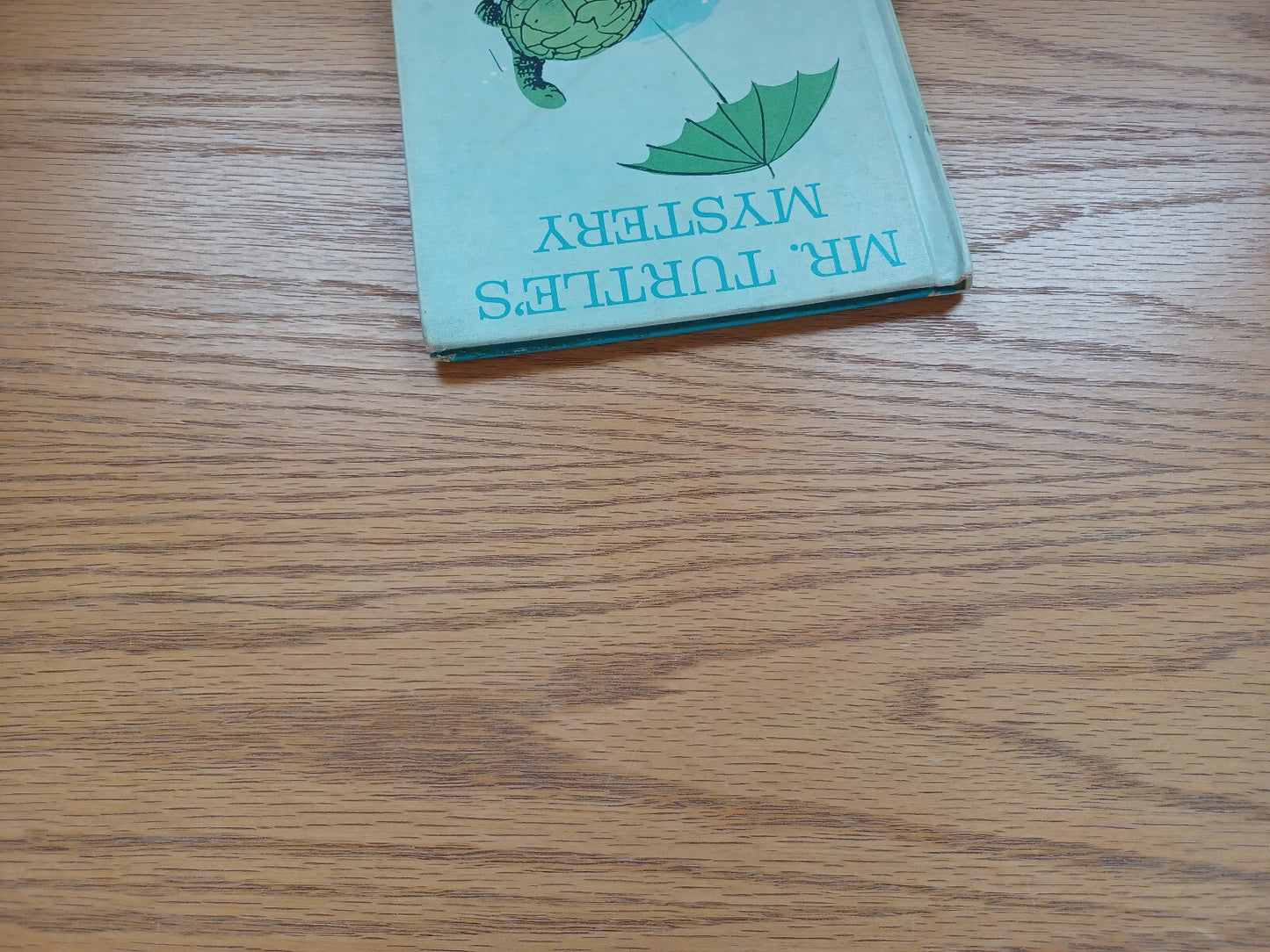 Image #4