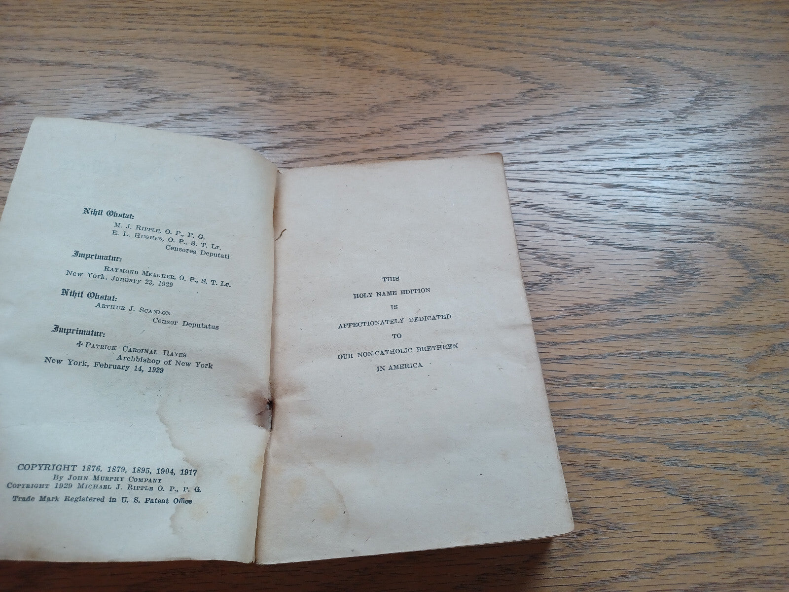 Image #7