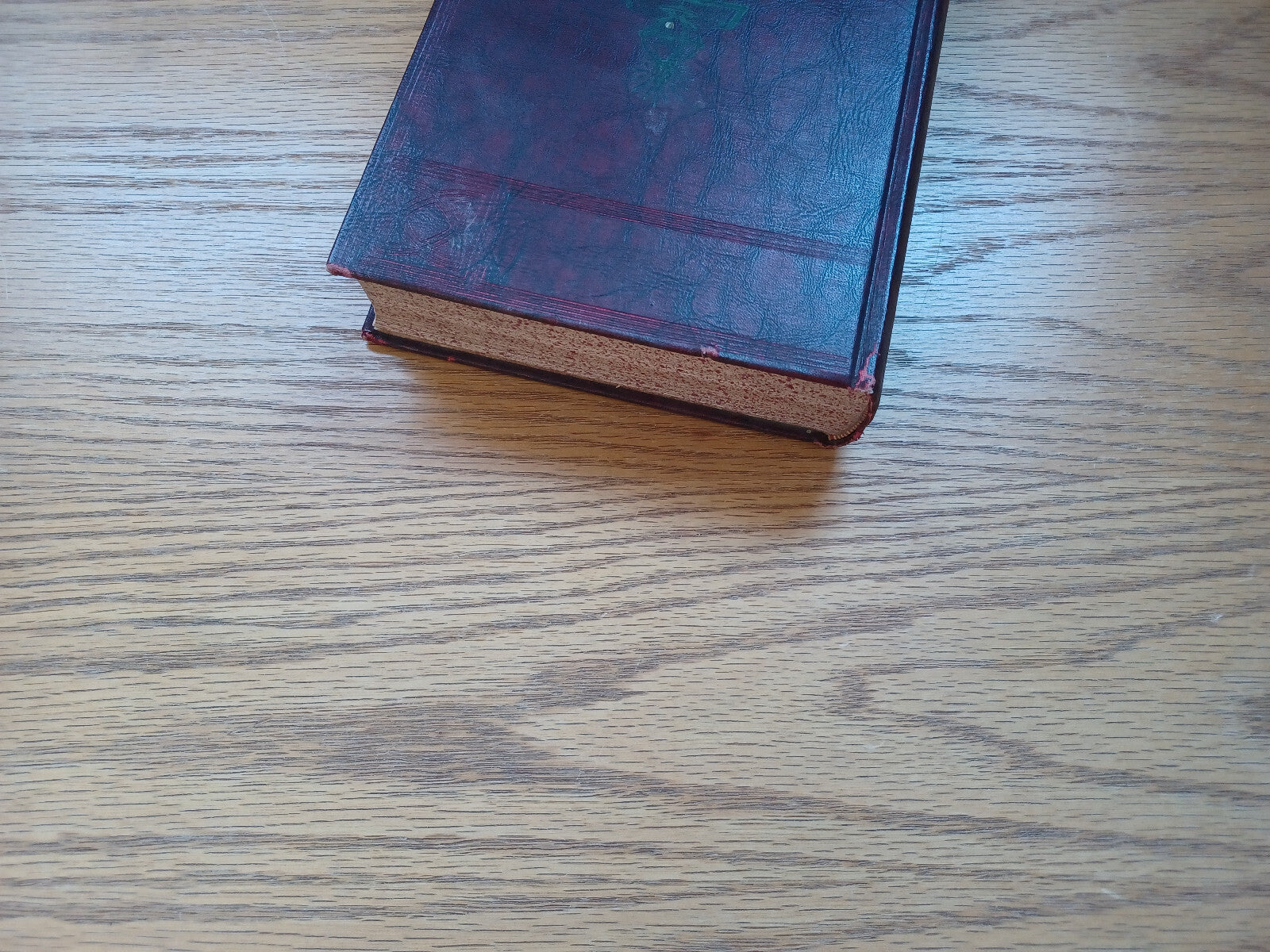 Image #4