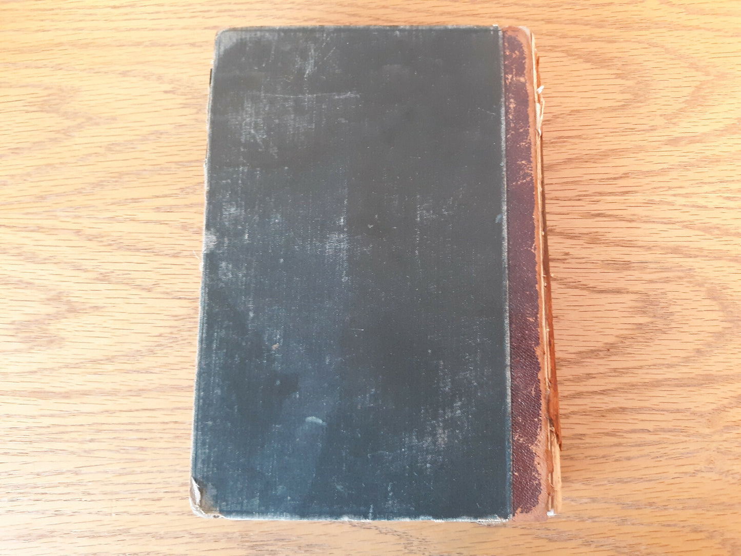Image #6