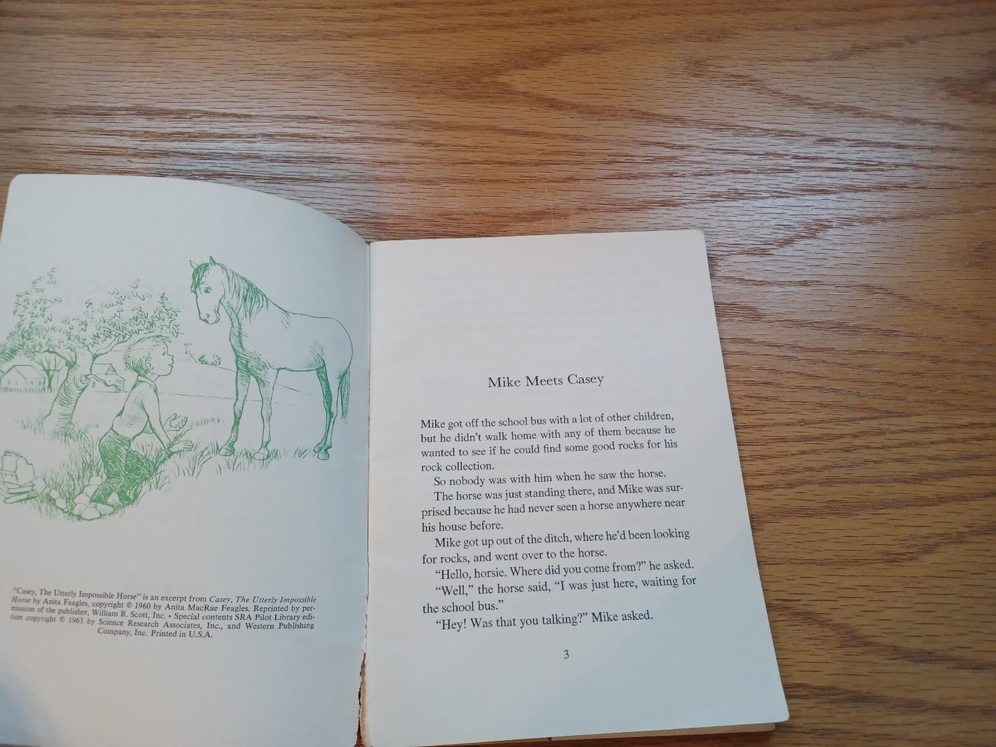 Image #5