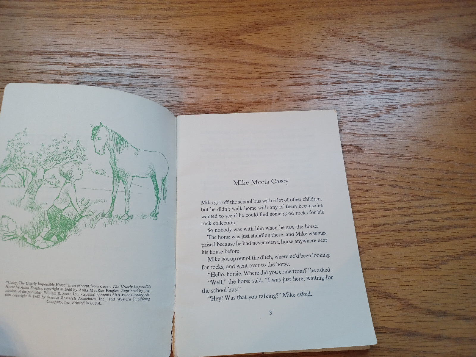 Image #5