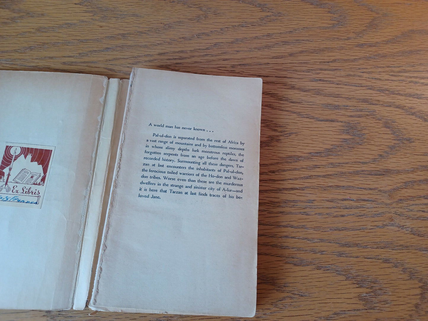 Image #7