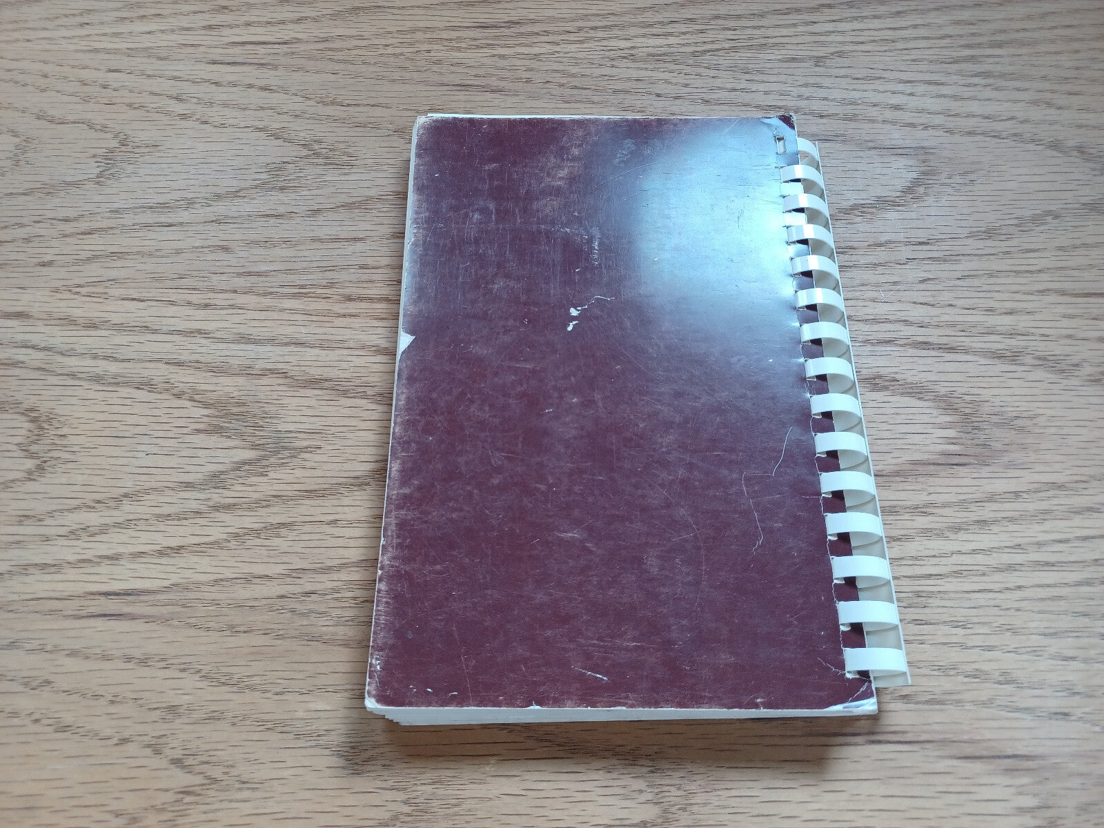 Image #6