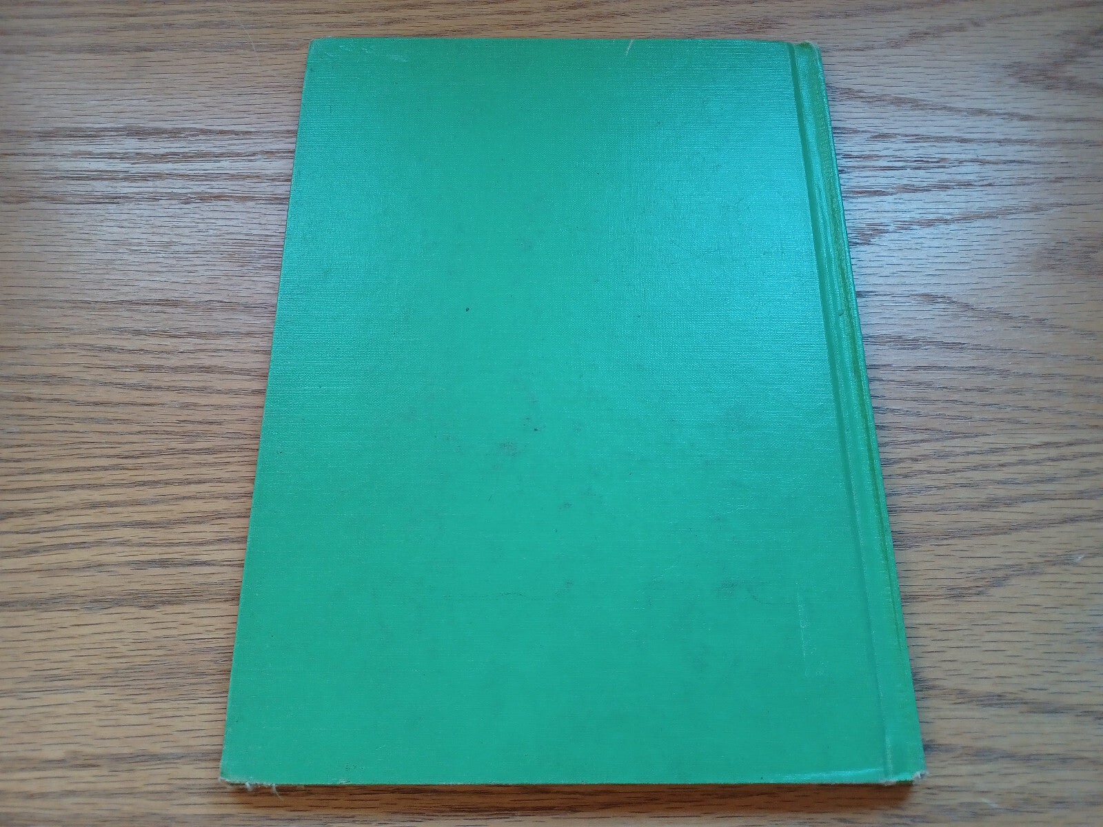 Image #6