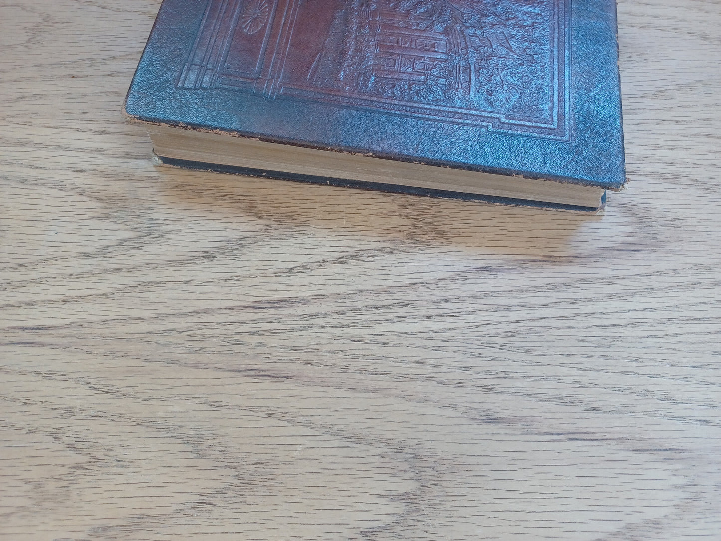 Image #3